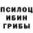 Галлюциногенные грибы прущие грибы T Zaia